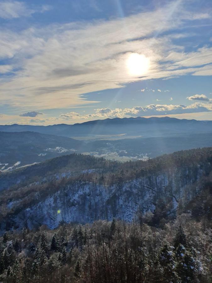 Apartmaji Anita Begunje pri Cerknici Экстерьер фото